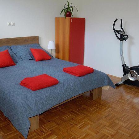 Apartma Vidmar Sencur Ngoại thất bức ảnh